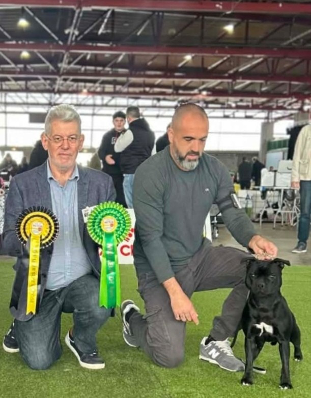 Eminence and Class Athéna