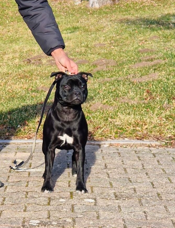 Eminence and Class Athéna